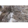 Pelo Animale