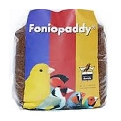 Foniopaddy