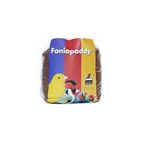 Foniopaddy