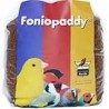 Foniopaddy