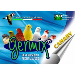 Germix  Canary Kg.4