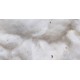 Cotone gr.100