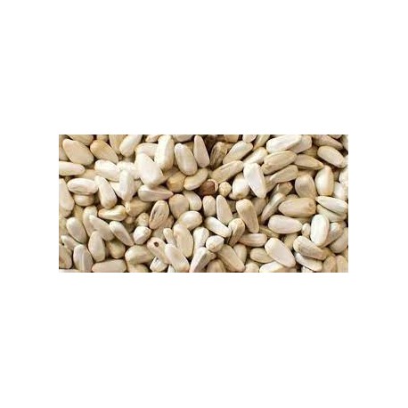 cartamo indiano(sfuso) kg.1