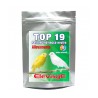 TOP 19 kg4  Elevage