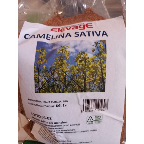 Camelina Sativa Manitoba 1kg