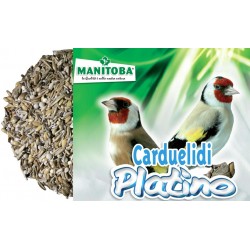 Carduelidi Platino manitoba kg.2.5