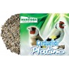 Carduelidi Platino manitoba kg.2.5